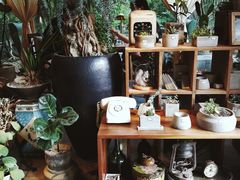 -时光花园(白鹭洲店)