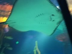 -沈阳海洋探索中心