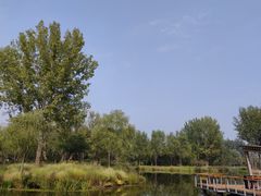 -东郊湿地公园