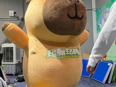 -正佳雨林生态植物园