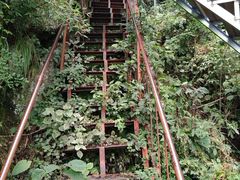 -尧山风景区