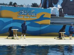 -秦皇岛乐岛海洋王国