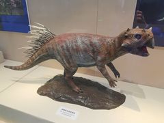 -国家自然博物馆