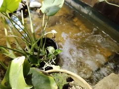 -邈墨茶馆(凤起路店)