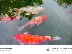 -三里河公园