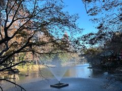 -井之头恩赐公园