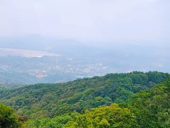 -广州市帽峰山景区