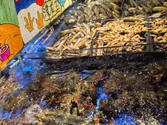 -79号渔船海鲜饭店(华强北店)