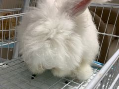 -怪兽屋·羊驼·猫咖·狗咖(俊华广场店)