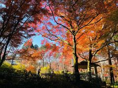 -三千院