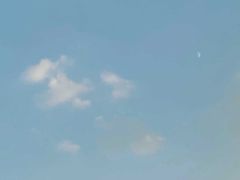 -阿山卓·野生菌火锅·纳西火塘烤肉