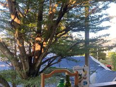 -Ohkajhu Organic Farm Sansai