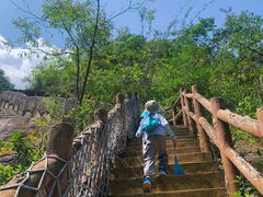 -广州白江湖森林公园