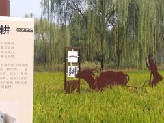 -北坞公园