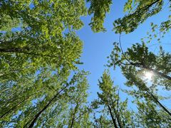 -野鸭湖国家湿地公园