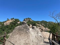 -大岭沟猕猴桃谷风景区