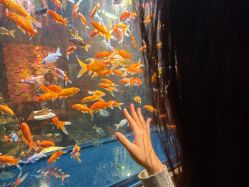 -Zoolung Zoolung动物主题公园(海信广场店)