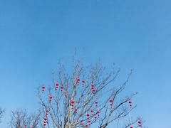 -诗经里