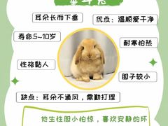 -博特宠物医院24h犬猫全科.骨科·异宠
