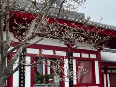 -大慈恩寺(大雁塔)