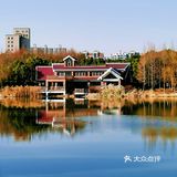 🍓冬日的顾村公园比预期更美🍓