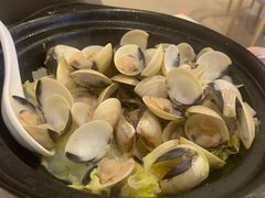 姜蓉沙白-鹅掂·大岭山烧鹅