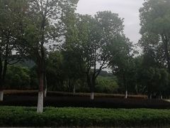 -江阴敔山湖公园