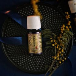 -芳香乐府疗愈空间·SPA·冥想