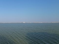 -大湾区中央湿地公园