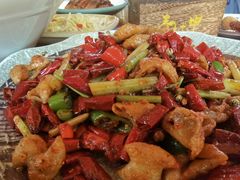 -青城甲(青城山店)