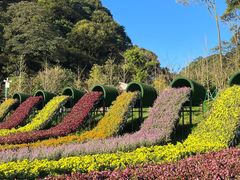 -广州市石门国家森林公园