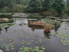 -白马涧龙池景区