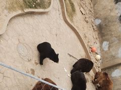 -无锡动物园·太湖欢乐园
