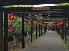 -九龙潭景区
