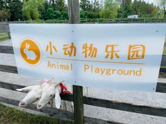 -前小桔亲子创意农场·草莓采摘·露营烧烤