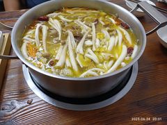 -菌极鲜野生菌火锅店(阳明祠店)