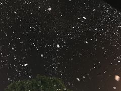 -杯子红牛排(西樵店)