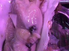 -96农蝎虾(江桥老街店)
