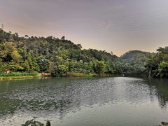 -中山市树木园