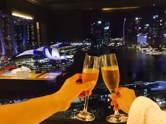 -新加坡丽思卡尔顿美年酒店