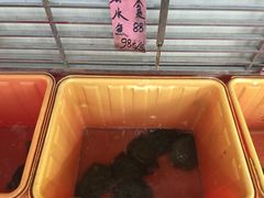 -荔城生鲜盛宴(番禺旗舰店)