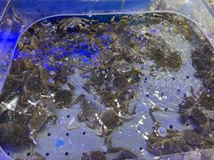 -澜悦港海鲜体验主题餐厅