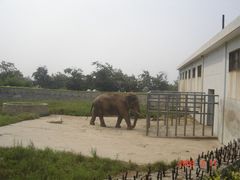 -西安秦岭野生动物园