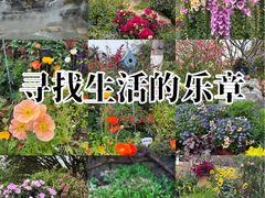 -东莞植物园