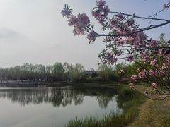 -永定河休闲森林公园