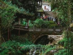 -青城山