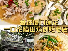 -黄鹤天厨·泡椒田鸡创始者(莲花店)