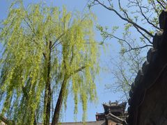 -山西王家大院