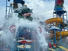 -苏州乐园森林水世界