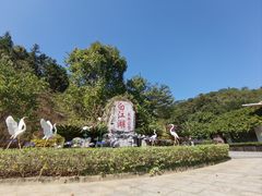 -广州白江湖森林公园